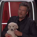 'The Voice' Season 18: Blake Shelton Brings Along a Super Cute Secret Weapon!