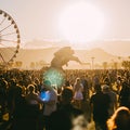 Coachella Festival Expected to Be Postponed Over Coronavirus Concerns