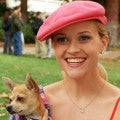 Reese Witherspoon Gives Update on 'Legally Blonde 3'