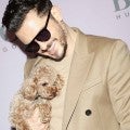 Orlando Bloom's Dog Mighty Dies After Going Missing