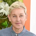 Ex 'Ellen' Employees Say 3 Execs Engaged in Sexual Misconduct: Report