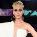 Katy Perry Posts Pic in Maternity Underwear 4 Days After Giving Birth