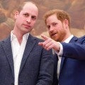 Prince Harry and Prince William to Debut Princess Diana Statue