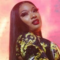 Megan Thee Stallion Slams Tory Lanez Amid False Report of Dropped Case