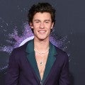 Shawn Mendes Releases Breakup Ballad After Camila Cabello Split