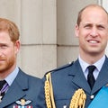 Prince Harry and Prince William's Relationship Isn't 'Where It Once Was'