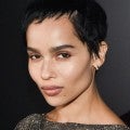 Zoe Kravitz Enjoys the 'Little Things' After Split From Husband