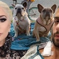 Lady Gaga's Dog Walker Says Healing Hasn't 'Been Easy to Navigate'