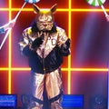 'The Masked Singer': The Bulldog Gets Bit in Truly Surprising Twist!