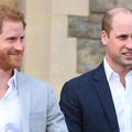 Inside Harry and William's Royal Rift Which Has Hit an 'All-Time Low'