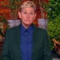 Ellen DeGeneres' Controversy & Ratings Did Not Play into Her Show Exit