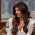 'RHONJ': Teresa Giudice Forced to Defend Ex's Attacks on the Gorgas 