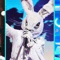 'The Masked Singer' Stars Revealed!