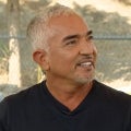 Cesar Milan Reflects on Friendship with Jada Pinkett Smith and Training Oprah Winfrey’s Dog 