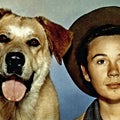 Tommy Kirk, 'Old Yeller' and 'The Shaggy Dog' Actor, Dead at 79