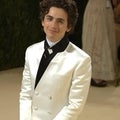 Timothée Chalamet Arrives at Met Gala 2021