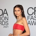Zendaya Says CFDA Fashion Icon Award Is 'a Dream'