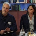 'CSI: Vegas' Renewed for Season 2, William Petersen Not Returning