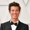 Shawn Mendes Makes His Oscars Debut