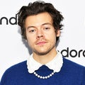 Harry Styles 'Heartbroken' After Copenhagen Shooting, Cancels Concert