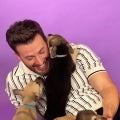 Watch Chris Evans Get Swarmed by Puppies in Adorable Interview