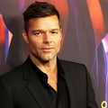 Ricky Martin Performs Day After Nephew Drops Harassment, Incest Claims