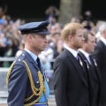 Prince Harry and Prince William Walk Behind Queen Elizabeth's Coffin