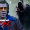 'Cocaine Bear': Watch the Bonkers Trailer for the Bear Attack Film