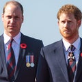 Prince William 'Devastated' and 'Privately Seething' at Harry's Memoir