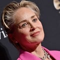 Sharon Stone Recalls How 'Basic Instinct' Impacted Her Custody Battle