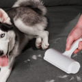 The Best-Selling ChomChom Pet Hair Remover Is On Sale for Just $20 Ahead of Amazon October Prime Day