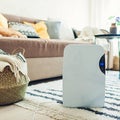 The Best Dehumidifiers for Fresh Air This Summer: Shop GE, Frigidaire, Insignia and More