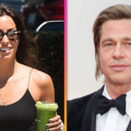 Where Brad Pitt and Ines de Ramon Stand at 1-Year Dating Anniversary