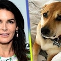 Angie Harmon Speaks Out About Dog Shooting & Why She's Suing Instacart