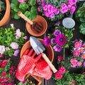 Spring Gardening Essentials to Shop on Amazon — Starting at $10