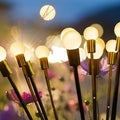 The Best Outdoor Solar Lights to Brighten Your Yard This Summer