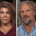 'Sister Wives': Meri on Janelle Divorcing Her Brother, Marrying Kody