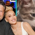 Gwen Stefani and Blake Shelton Announce New Addition to Their Family!  