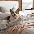 Save On Brooklinen's Best-Selling Bedding and More Comfy Favorites