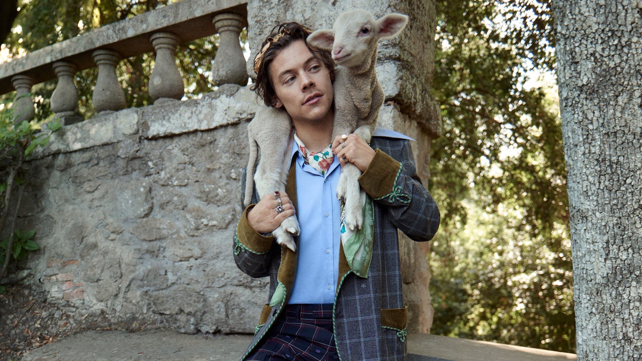 Harry Styles' New Fashion Campaign Has Him Posing With Cute Baby Animals  Again