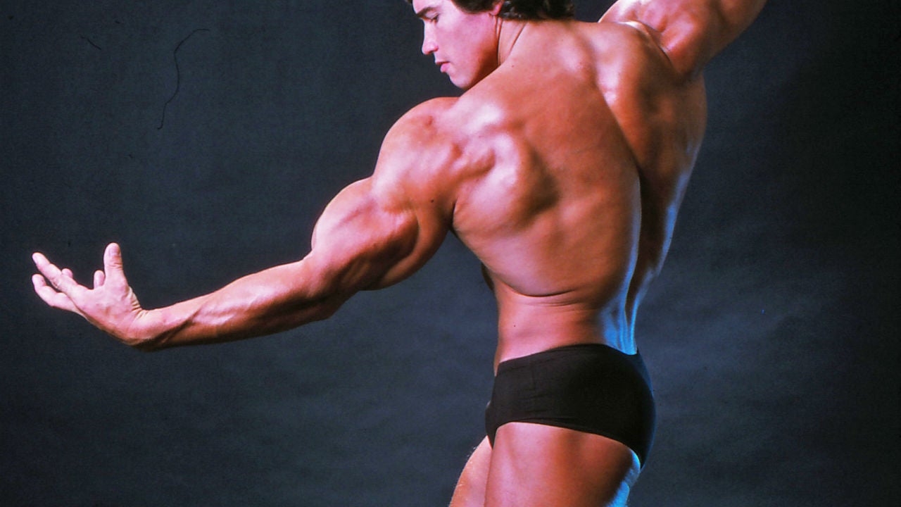 What Was Schwarzenegger Doing Here Exactly?”: Lee Haney Joins Bodybuilding  World in Analyzing Arnold Schwarzenegger's Vintage Posing Routine -  EssentiallySports