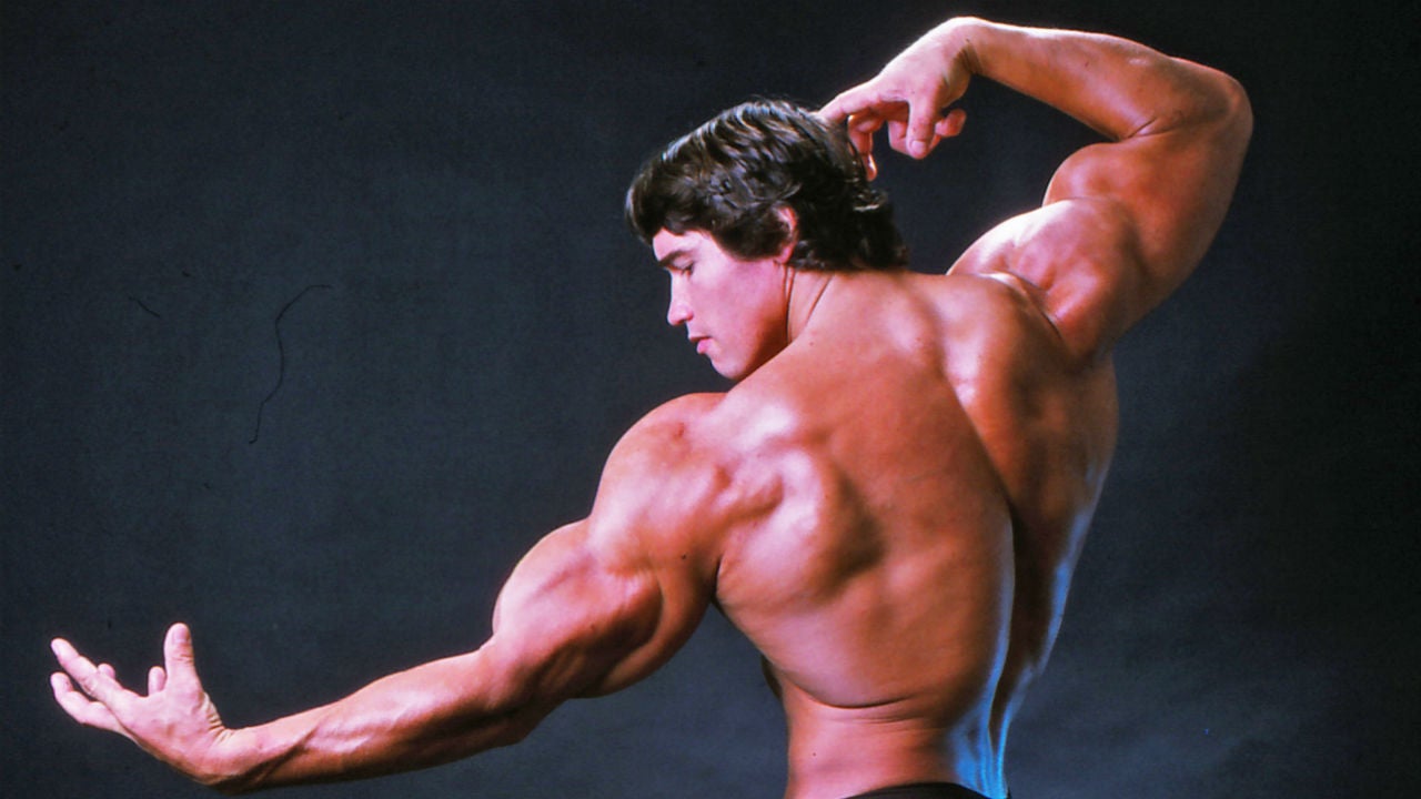 Bodybuilding.com - Arnold's Blueprint For Mammoth Shoulders And Arms |  Bodybuilding, Arnold blueprint, Arnold schwarzenegger bodybuilding