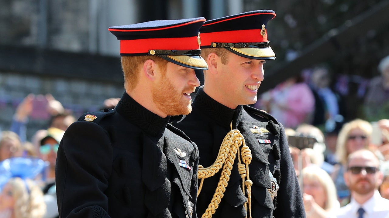 Prince Harry, Prince William