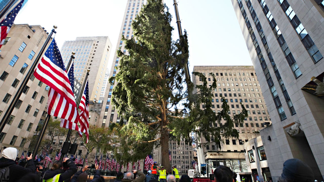 Rockefeller Tree