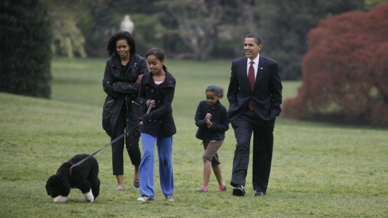 Obama Family Dog Bo