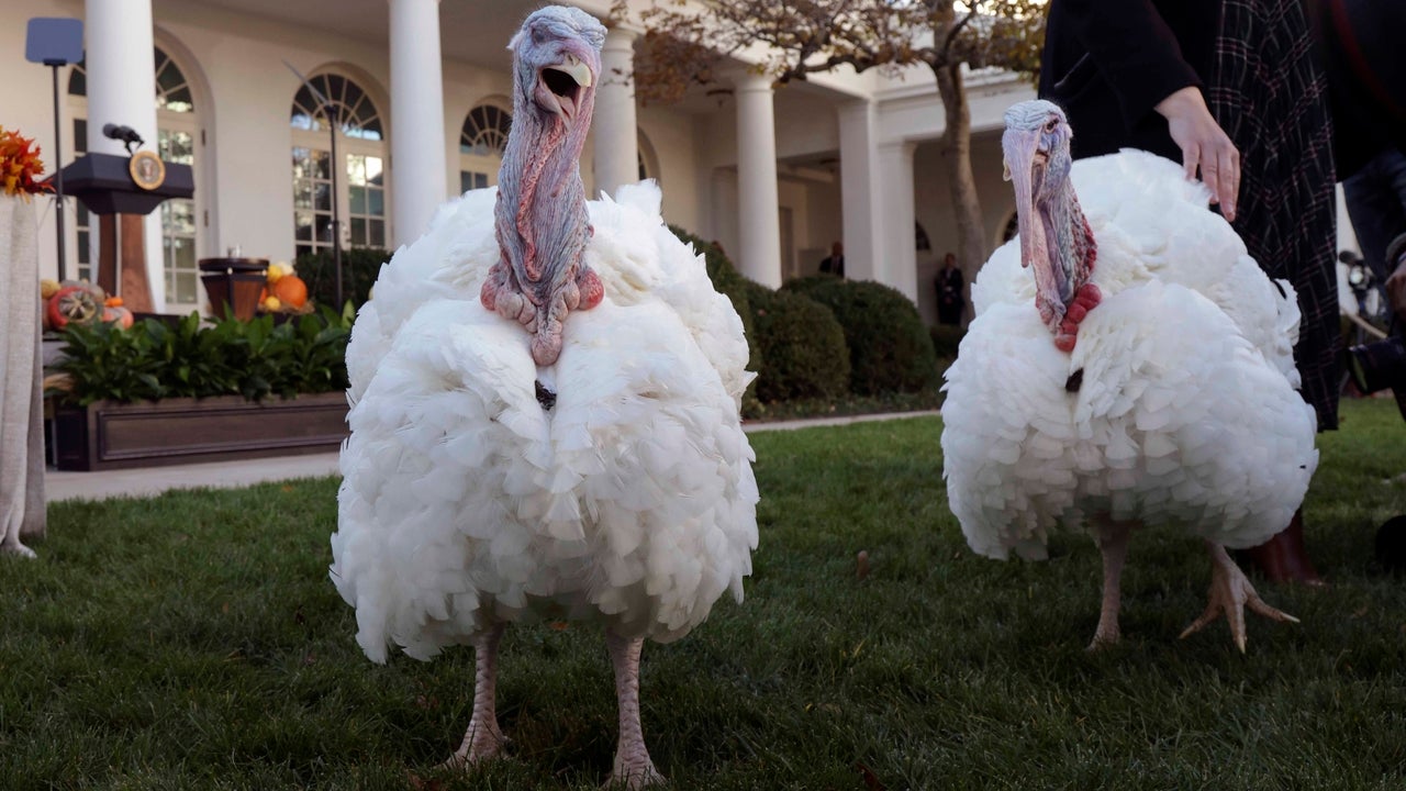 President Joe Biden Pardons Turkeys Peanut Butter And Jelly Ahead Of ...