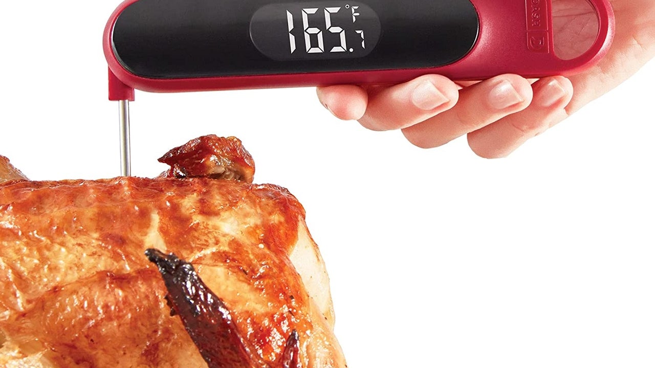 Dash Precision Quick-Read Thermometer