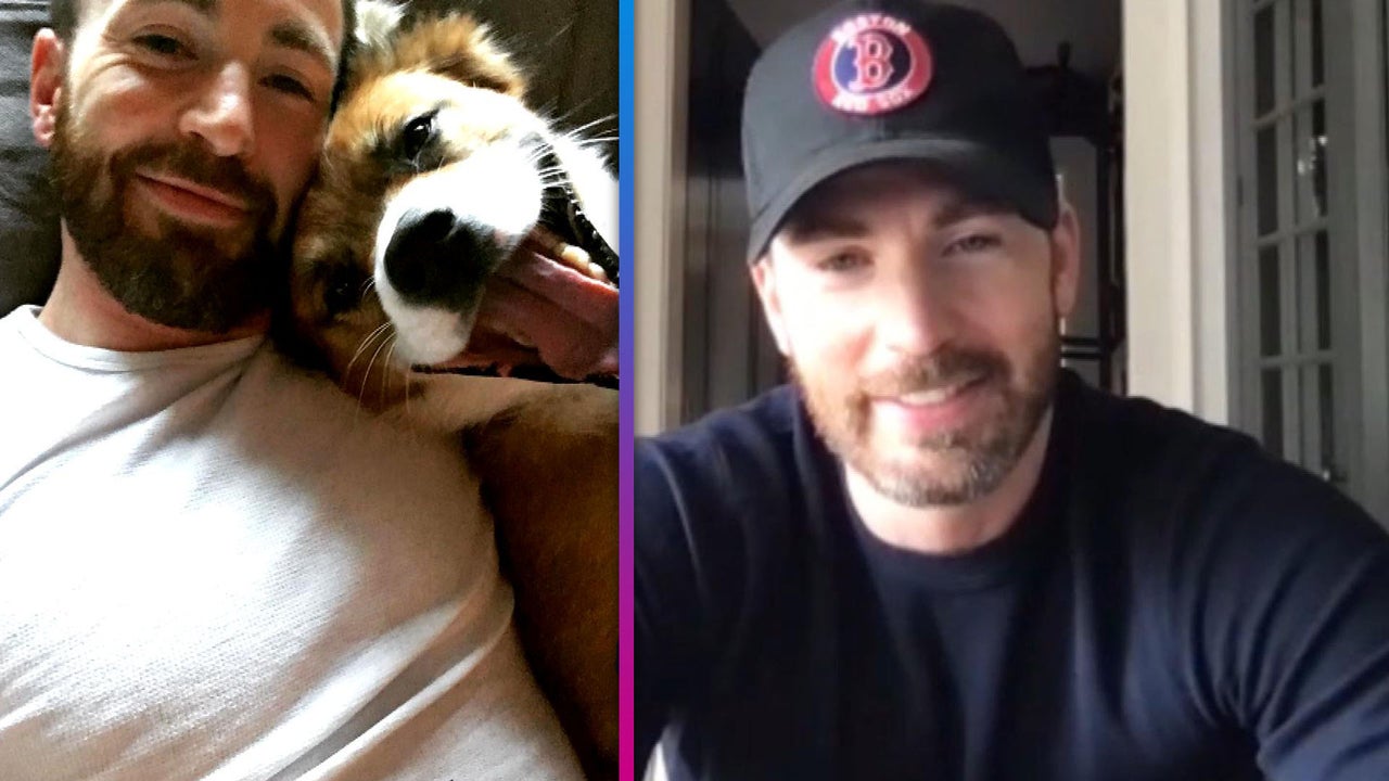 Chris Evans Comparte cómo su Perro Participa en su Rutina de Ejercicios y Cuándo su Dieta Consiste en ‘Comida Basura’