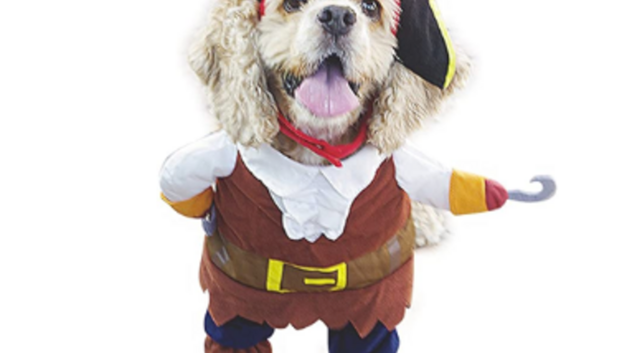 Rubie's Pet Costume, Small, Pirate Girl