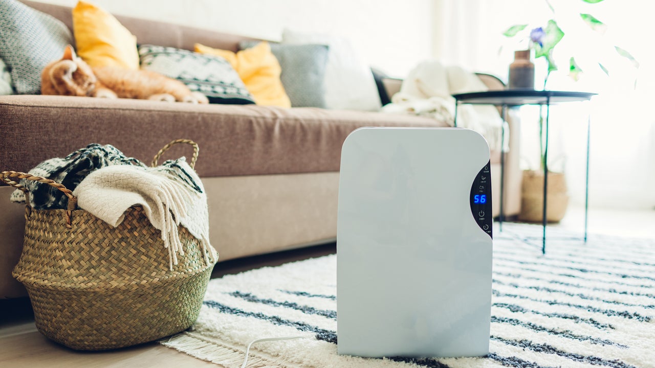 The Best Dehumidifiers to Shop Now